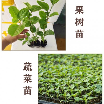 内蒙古有机肥料果蔬专用肥体验装图3