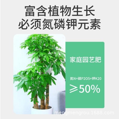发财树专用营养肥颗粒促生长防黄叶缓释肥吸收快家用盆栽种植肥料图4
