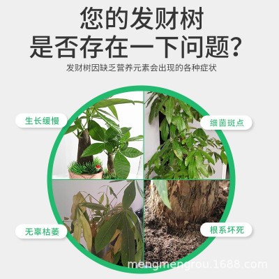 发财树专用营养肥颗粒促生长防黄叶缓释肥吸收快家用盆栽种植肥料图2