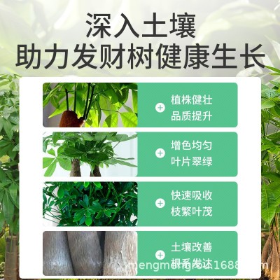 发财树专用营养肥颗粒促生长防黄叶缓释肥吸收快家用盆栽种植肥料图3