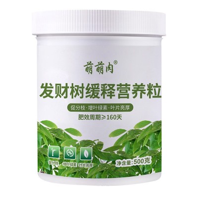 发财树专用营养肥颗粒促生长防黄叶缓释肥吸收快家用盆栽种植肥料图5