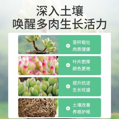 萌萌肉多肉专用缓释营养肥颗粒盆栽植物种植氮磷钾复合肥长效通用图2