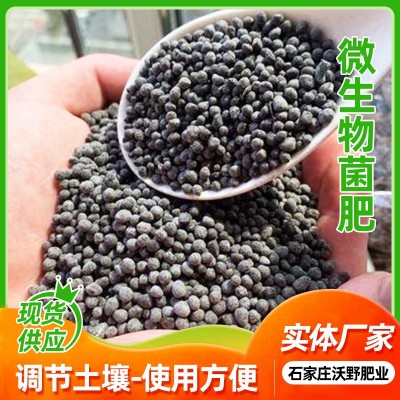 微生物土壤活化剂活化宝矿源黄腐酸钾微生物菌肥松土壤板结改良肥图3