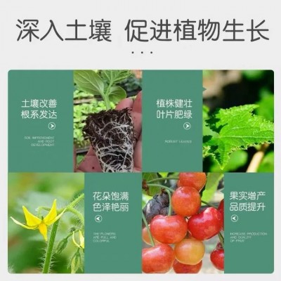 有机肥料发酵纯羊粪牛粪肥营养土种蔬菜多肉养花卉绿植通用图4