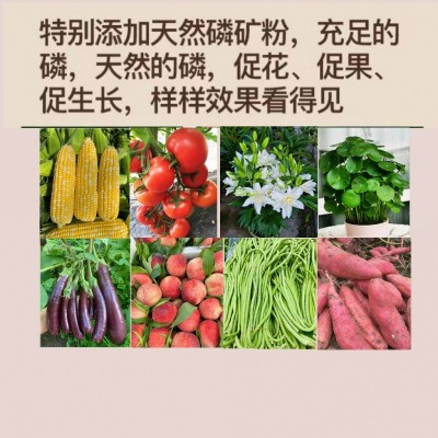 微生物有机菌肥粉末型瓜果蔬菜花卉绿植专用生物有机营养肥图3