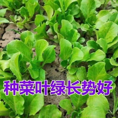 粉末型瓜果蔬菜花卉绿植专用生物有机营养肥发酵微量元素促花保果图4