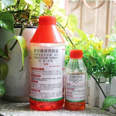 41%草甘膦异丙胺盐 果园荒地苗圃灌木杂草烂根除草剂草甘磷批发图4