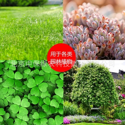 朴绿 高磷钾大量元素全水溶肥料 含铁锌硼肥 改善黄叶小叶图3