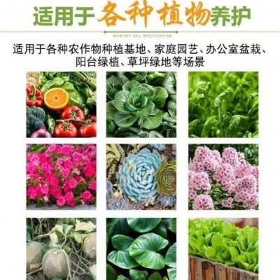 蔬菜专用肥农用种菜果树有机花肥料盆栽植物专用氮磷钾家用颗粒肥图3