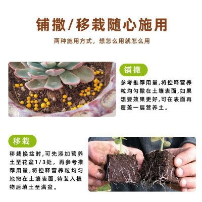 家庭多肉控释肥园艺复合肥补充氮磷钾包膜肥绿植花卉通用肥批发图3