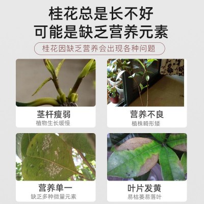 桂花专用肥料酸性桂花树开花专用肥四季氮磷钾复合肥厂家批发图2