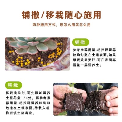 多肉控释肥氮磷钾营养颗粒肥花卉植物通用型家庭园艺缓释肥图3