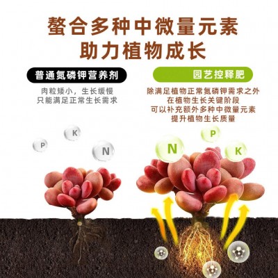 多肉控释肥氮磷钾营养颗粒肥花卉植物通用型家庭园艺缓释肥图2