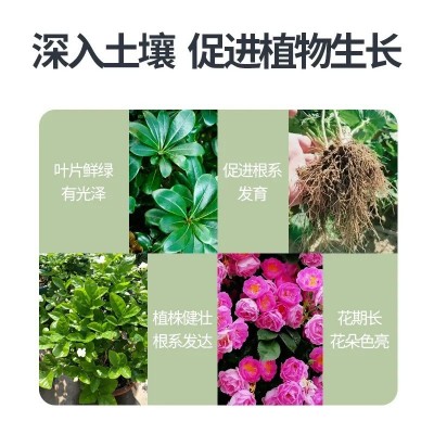 硫酸亚铁花肥料水溶肥花卉家用通用型喜酸性杜鹃栀子花铁树专用肥图4