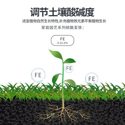 硫酸亚铁花肥料水溶肥花卉家用通用型喜酸性杜鹃栀子花铁树专用肥图2