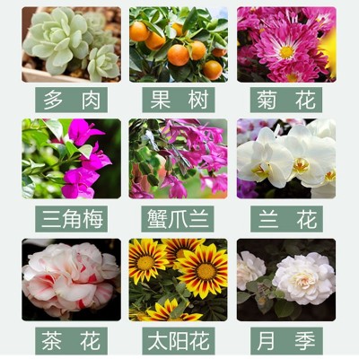 磷酸二氢钾水溶肥磷肥蔬菜水果花卉通用型叶面肥花肥复合肥肥料图4