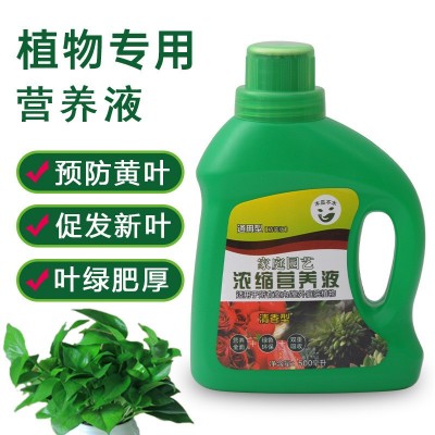 水培植物通用营养液 花卉叶面肥绿植肥叶面肥 浓缩型营养液厂家图5