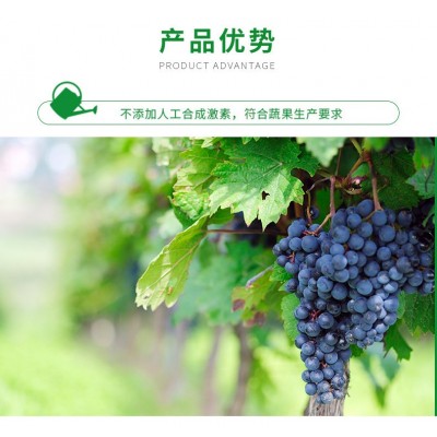 源头厂家 全水溶有机肥 生根壮苗 增产增收 果树蔬菜颗粒肥图4