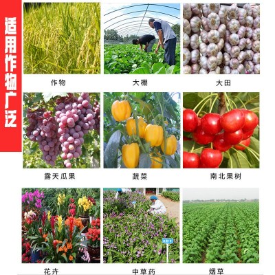 批发售有机肥黑色颗粒 味精渣npk农资肥料40公斤/袋图4