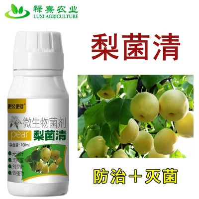 梨树病菌清梨树专用微生物菌剂炭疽黑斑夜斑疫病烂果菌肥图2