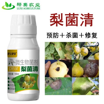 梨树病菌清梨树专用微生物菌剂炭疽黑斑夜斑疫病烂果菌肥图3