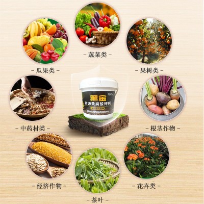 矿源黄腐酸钾高钙钾增产增收壮根膨果果树蔬菜有机水溶肥图4