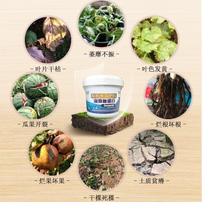 海藻鱼蛋白增产增收促进生长壮苗膨果微生物有机水溶肥图3