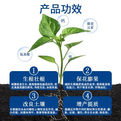 海藻鱼蛋白增产增收促进生长壮苗膨果微生物有机水溶肥图2