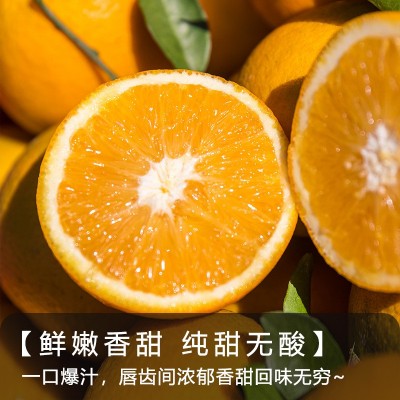 【整箱批发】正宗赣南脐橙当季水果新鲜爆甜皮薄自家果园现摘现发图2
