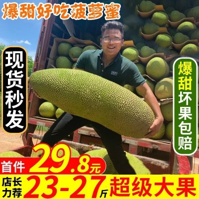 现摘现发海南三亚菠萝蜜包邮新鲜水果当应季水果一整个黄肉波罗蜜图2