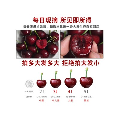 Tt陆地露天大连美早樱桃现摘国产车厘子当季新鲜水果孕妇顺丰大樱图4