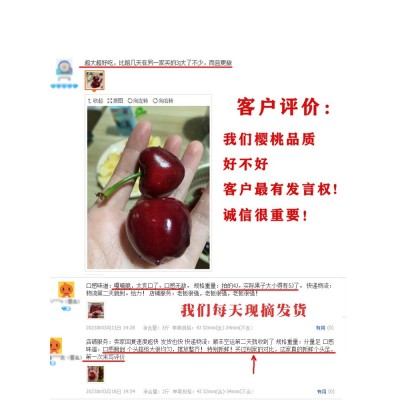Tt陆地露天大连美早樱桃现摘国产车厘子当季新鲜水果孕妇顺丰大樱图3