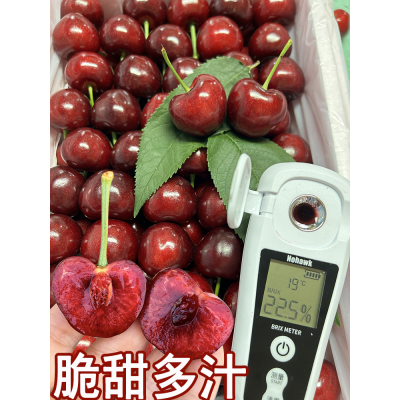 Tt现摘空运】大连樱桃美早大樱桃4j5j新鲜当季国产车厘子顺丰端午图3