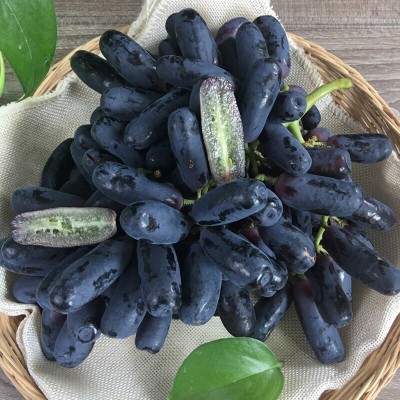 顺丰包邮正宗金手指葡萄黑提蓝宝石美人指提子无核甜水果新鲜3斤图4