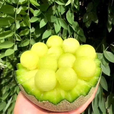 海南玫珑蜜瓜整箱礼盒装甜糯多汁静冈网纹哈密瓜当季新鲜孕妇水果图3