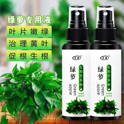 绿萝专用营养液促开花防黄叶有机肥不烧苗家用盆栽植物通用液体肥图2