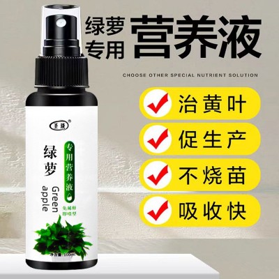 绿萝专用营养液促开花防黄叶有机肥不烧苗家用盆栽植物通用液体肥图4