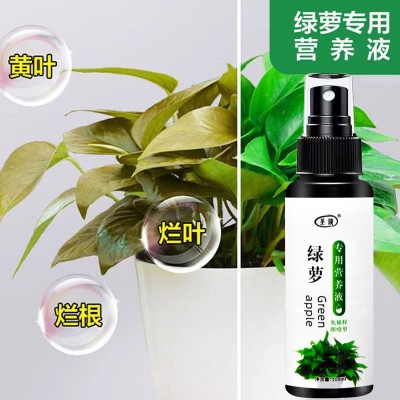 绿萝专用营养液促开花防黄叶有机肥不烧苗家用盆栽植物通用液体肥图3