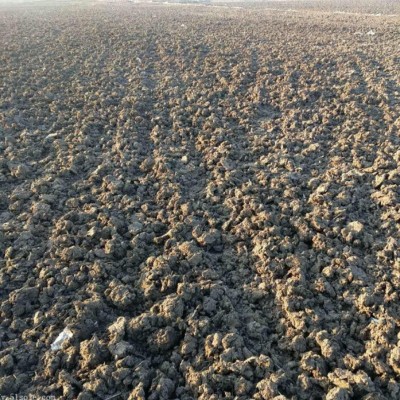 发酵腐熟牛粪干牛粪有机肥生物肥料缓解土壤板结适合园林绿化图2