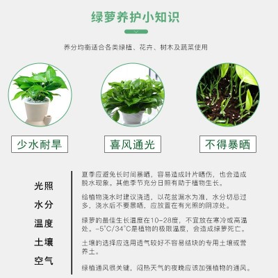 绿萝专用肥肥料花肥有机肥开花生根缓释颗粒肥花卉绿植物营养肥料图4