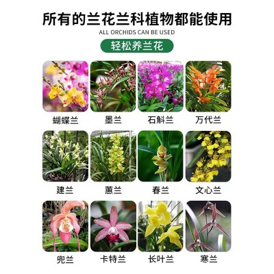兰花肥料专用肥魔肥缓释肥兰科君子兰墨兰蝴蝶兰促开花有机颗粒肥图4
