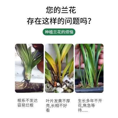 兰花肥料专用肥魔肥缓释肥兰科君子兰墨兰蝴蝶兰促开花有机颗粒肥图2