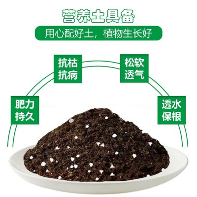 营养土养花土壤种植土种菜种花盆栽家用肥料多肉有机腐殖土图4