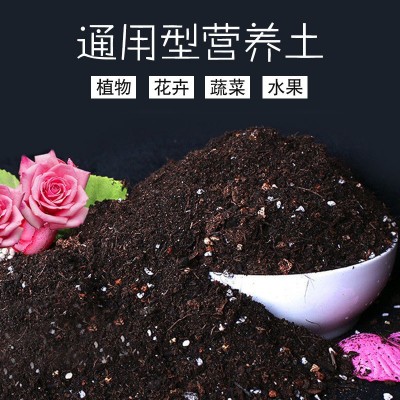 营养土养花土壤种植土种菜种花盆栽家用肥料多肉有机腐殖土图2