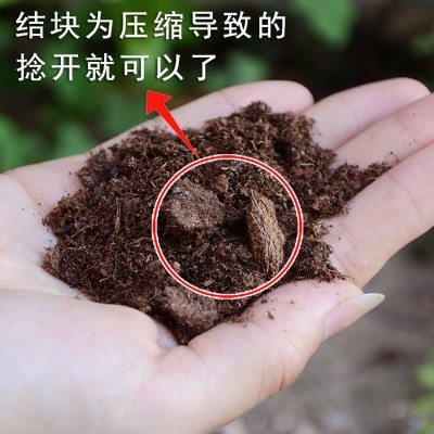 丹麦品氏泥炭土进口多肉营养土种植土有机土花土草炭土通用型图4