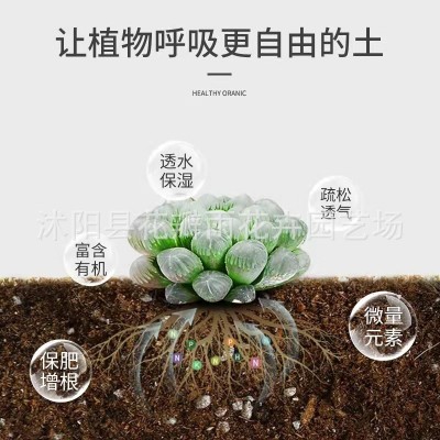 丹麦品氏泥炭土进口多肉营养土种植土有机土花土草炭土通用型图2