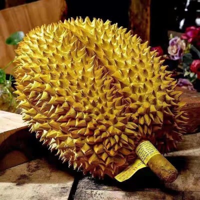 现货A级泰国榴莲金枕头榴莲进口巴掌榴莲 新鲜生鲜水果图2
