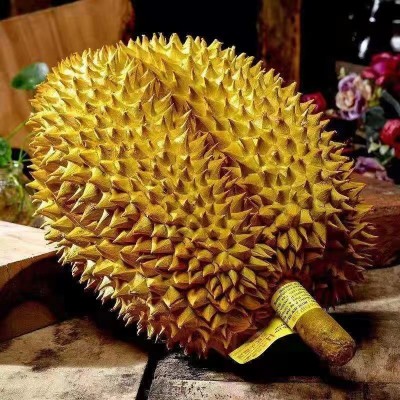 泰国进口金枕头榴莲 巴掌金枕榴莲 新鲜水果孕妇带壳榴莲图2