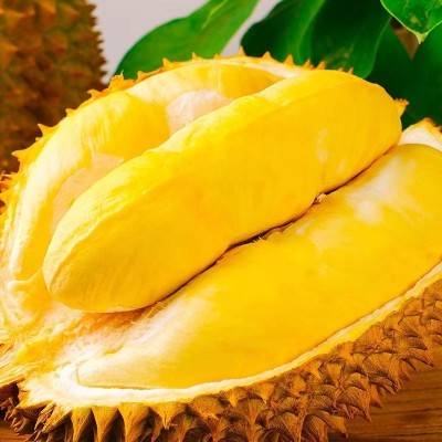 泰国进口金枕头榴莲 巴掌金枕榴莲 新鲜水果孕妇带壳榴莲图4