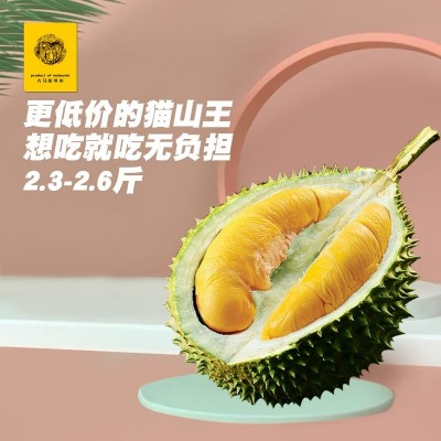 猫山王榴莲整个果带壳正宗马来西亚D197新鲜液氮冷冻山猫巴掌榴连图3